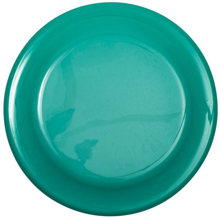 Are dog frisbees available in bulk?